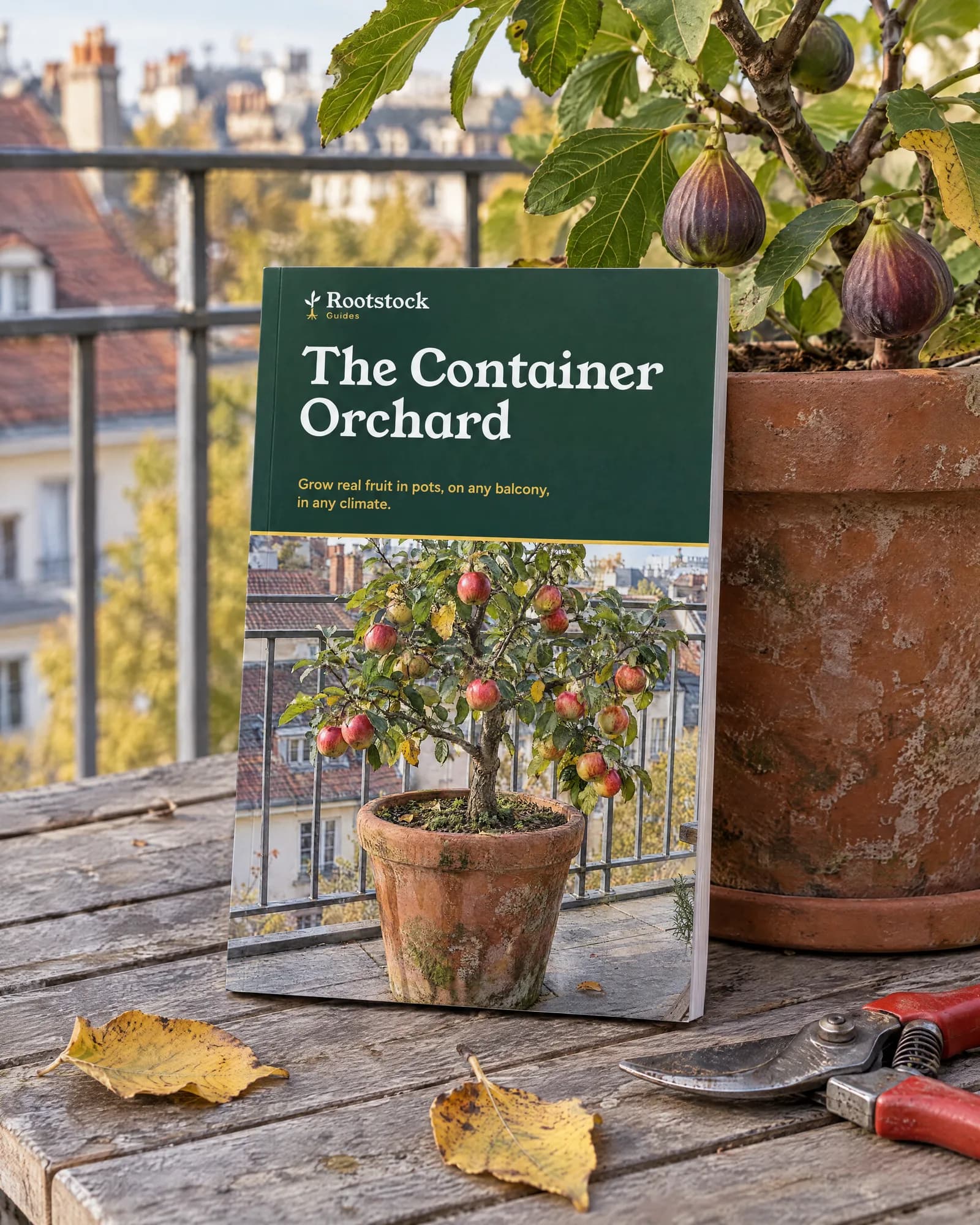 The Container Orchard guide on a balcony table next to a fig tree in a pot