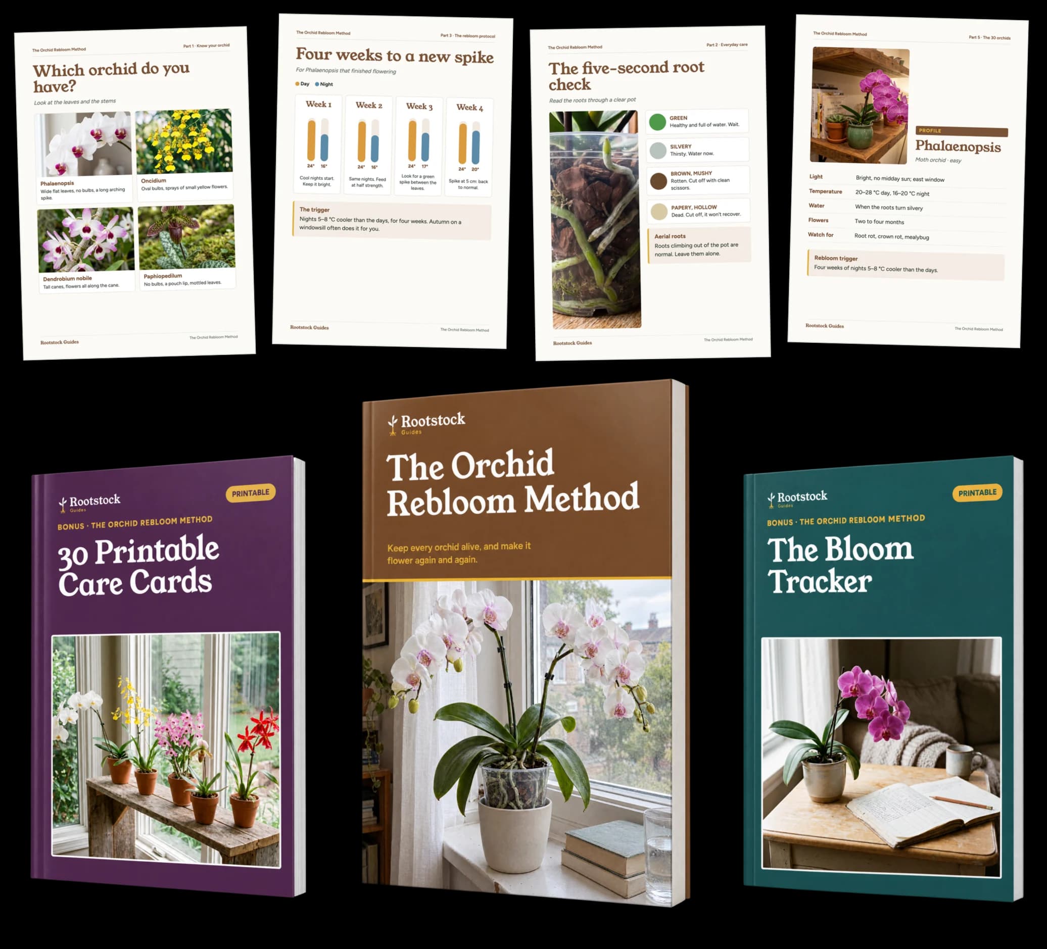The Orchid Rebloom Method: guide, sample pages and bonuses