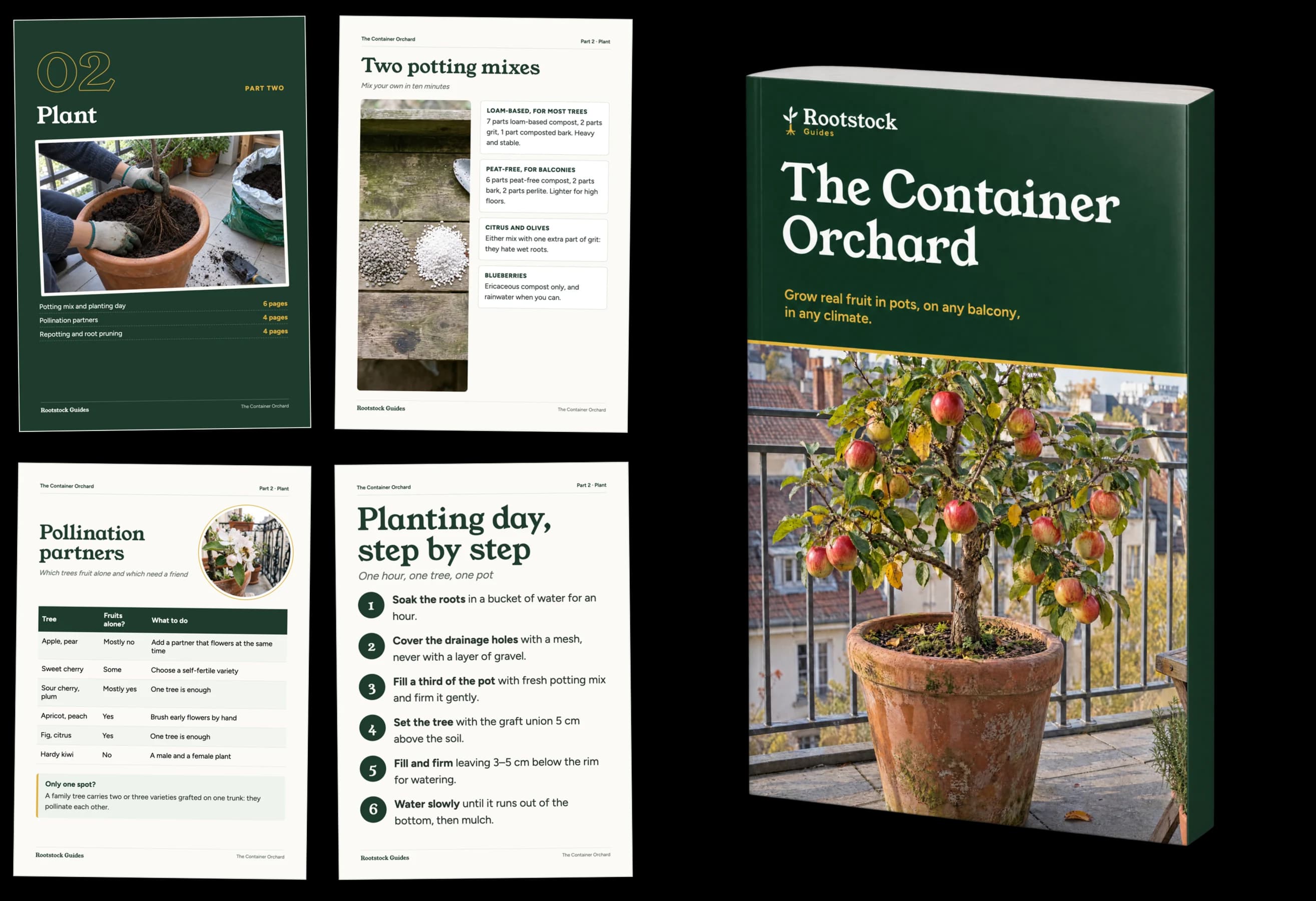 Part 2: Plant, sample pages