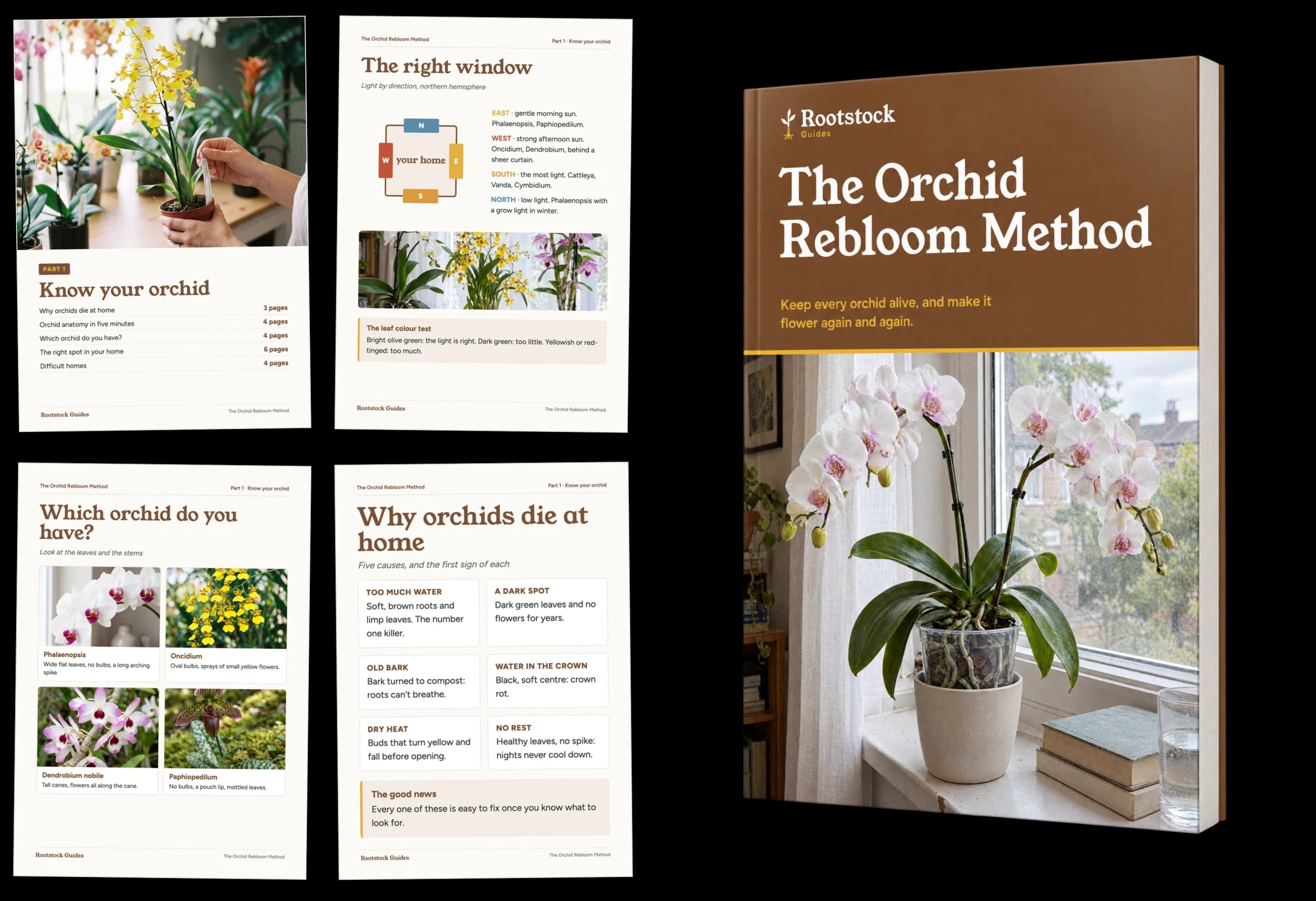 Part 1: Know your orchid, sample pages