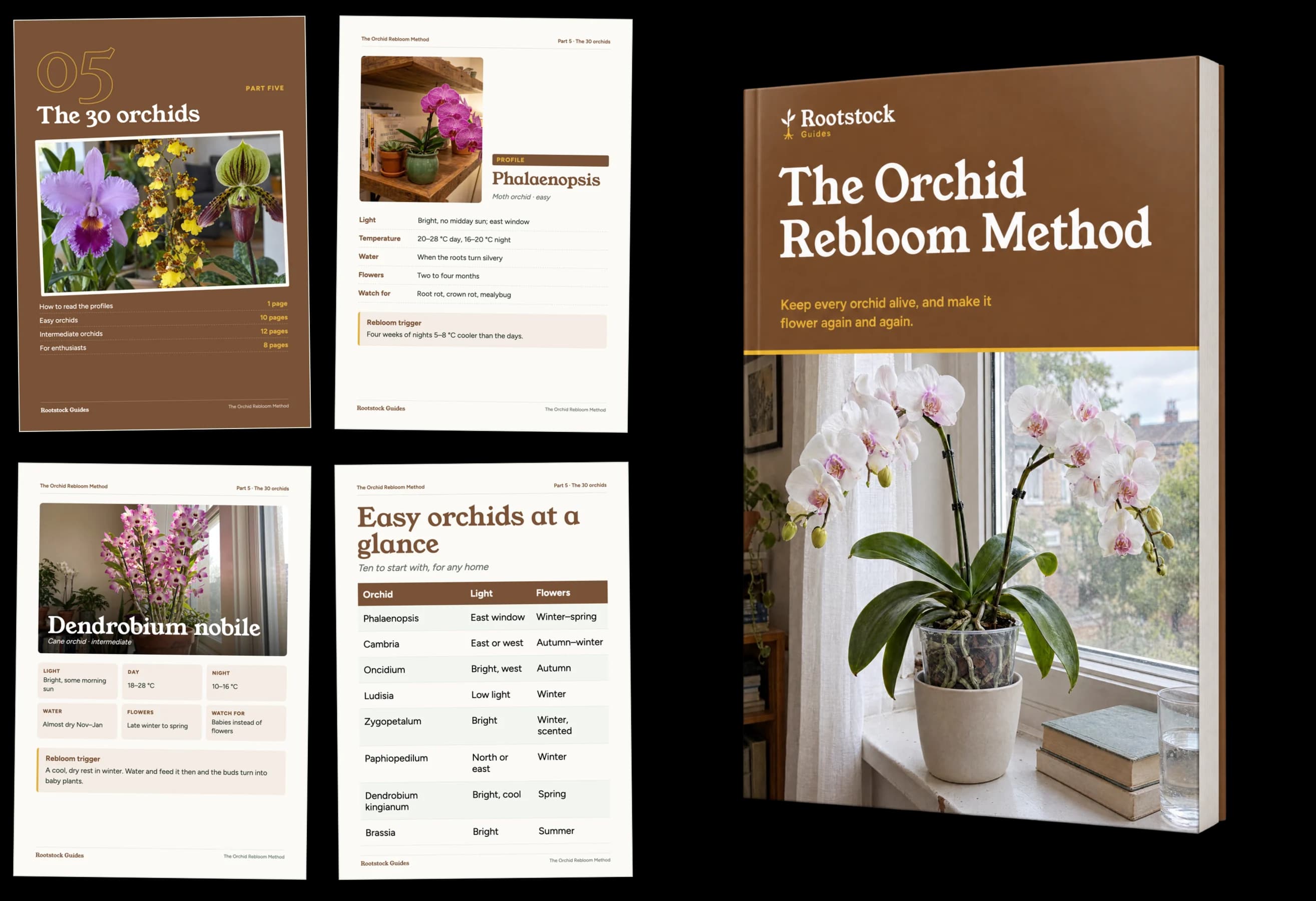 Part 5: The 30 orchids, sample pages